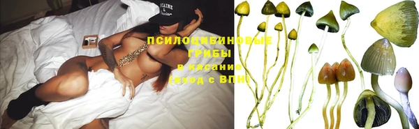 марки nbome Новодвинск